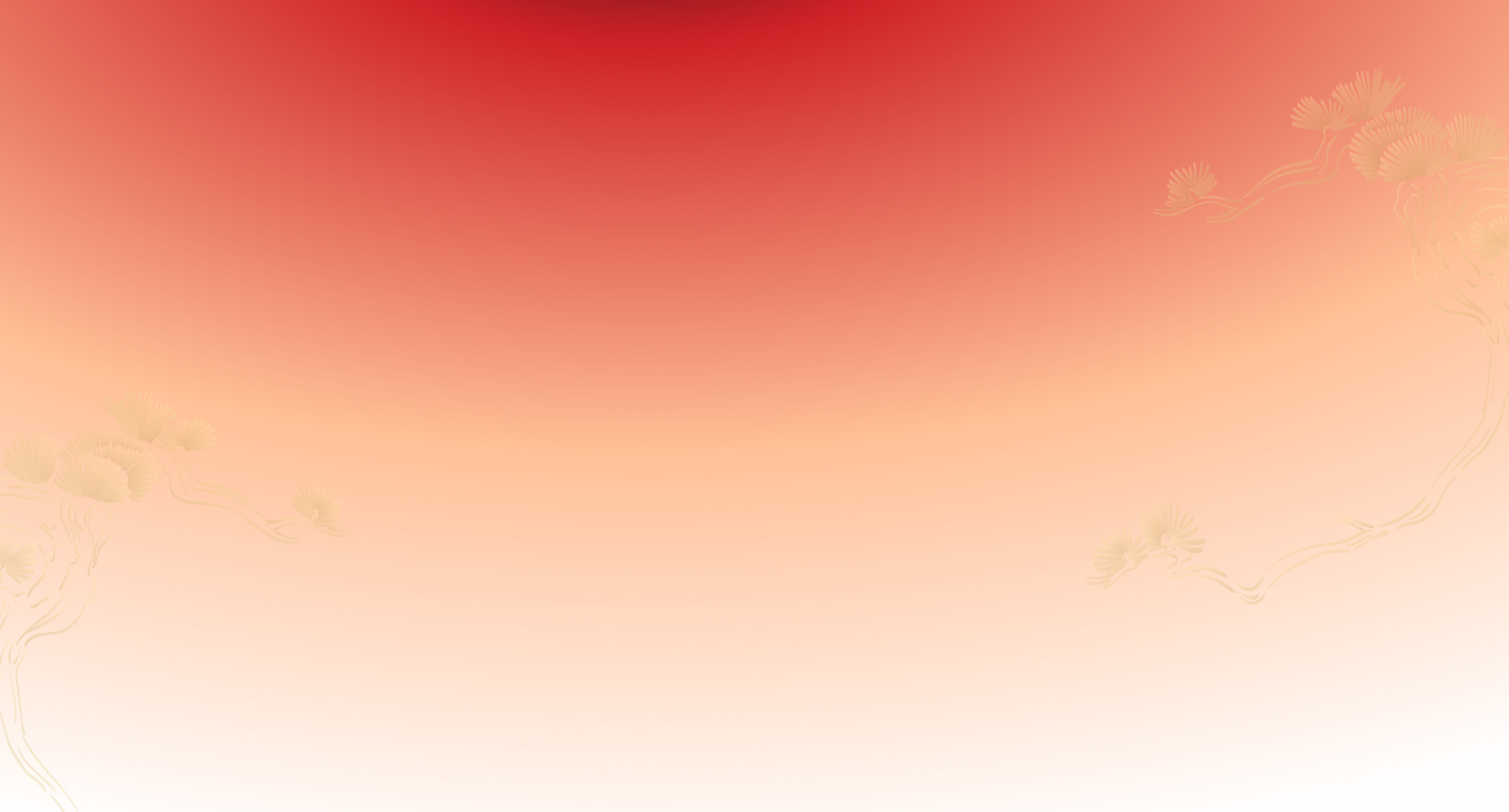 Background Maotai BKK Contact Page